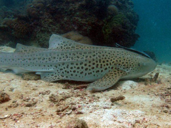 a21b2a10-7514-4627-af11-7cba2a544e35