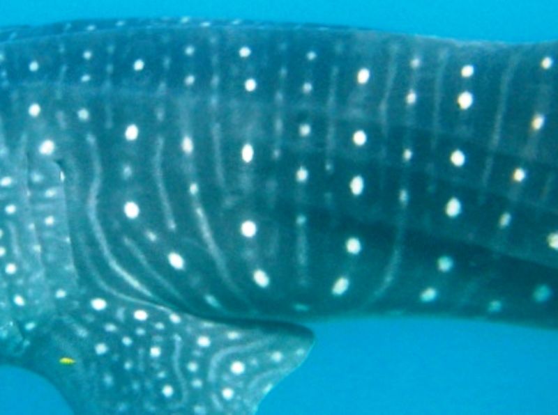 09ae492e-03e1-467d-a8a5-7caf8e36bb1d