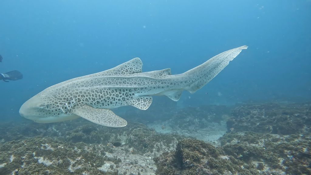 aed0a235-f7b4-48f1-85ee-11bbc3ea6c73