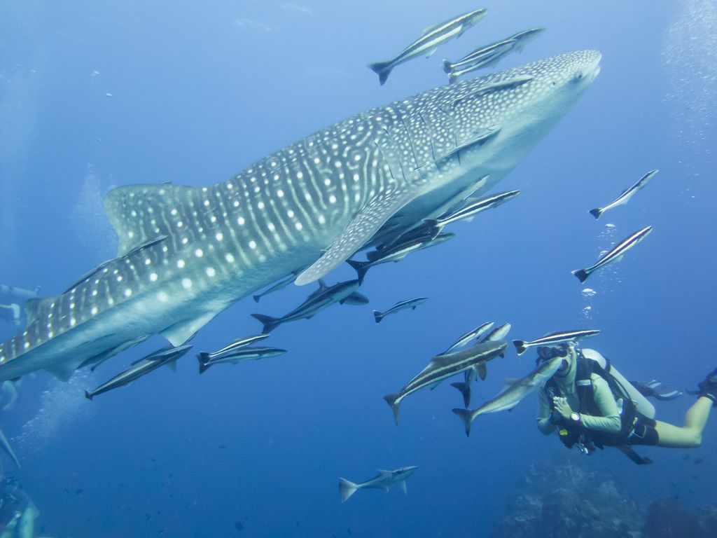 7fca4492-b30c-4ac8-a372-41a99d251b72