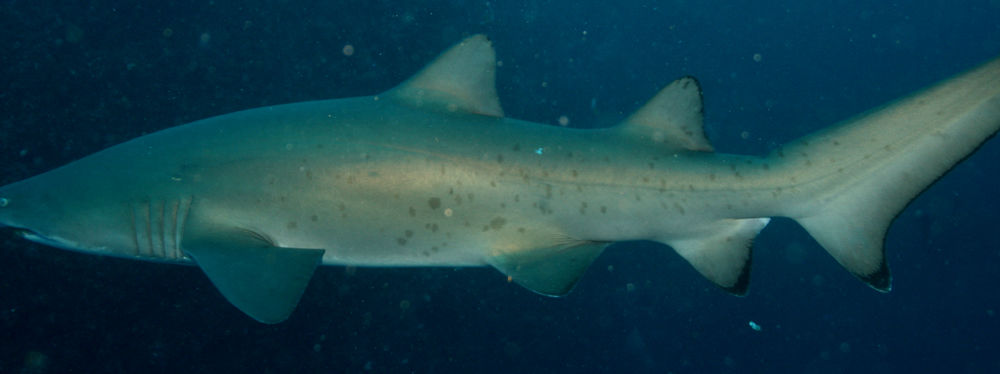 9444ab6f-55bf-49f9-97b1-c4d6eb147355