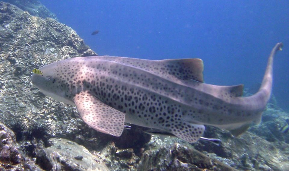 2519aa8c-1d8c-4351-bc5f-8182862875cd