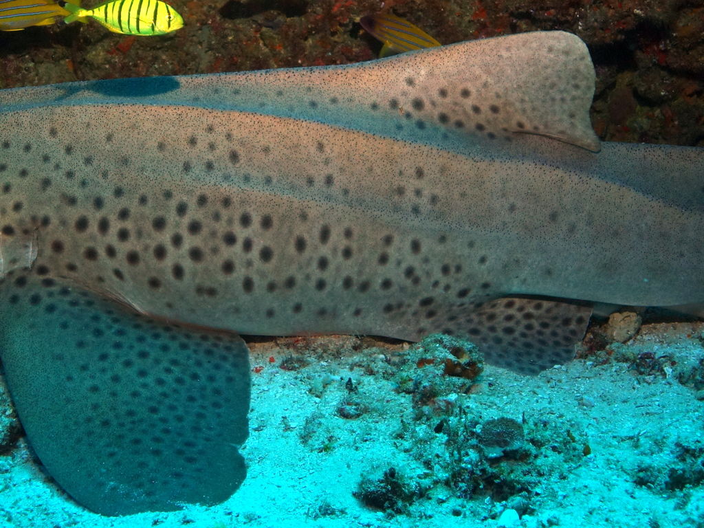 b4f09932-ed70-42ce-81bf-1e150943e19b