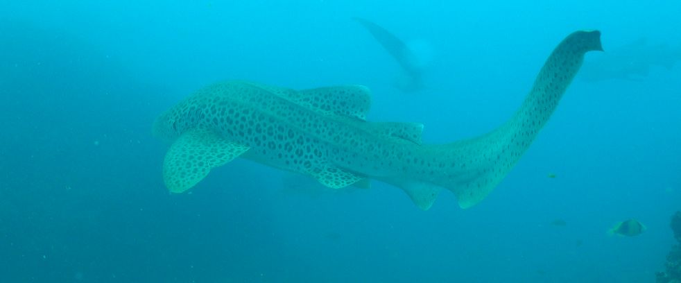 f019d730-e8b3-4040-965c-317fbd5d0860