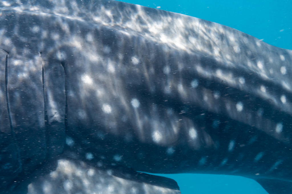 0712e104-be9b-4251-91db-3647ae4978ff