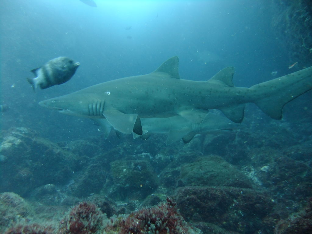 661a9717-ceef-4cd9-9f45-b207bc80b1cb