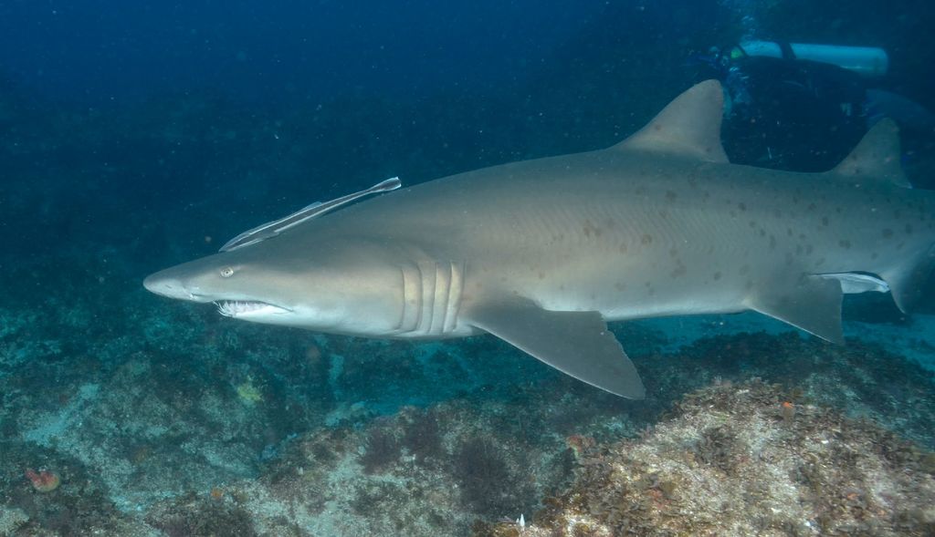 b485c4d8-0380-40b3-9331-f7560da2a353