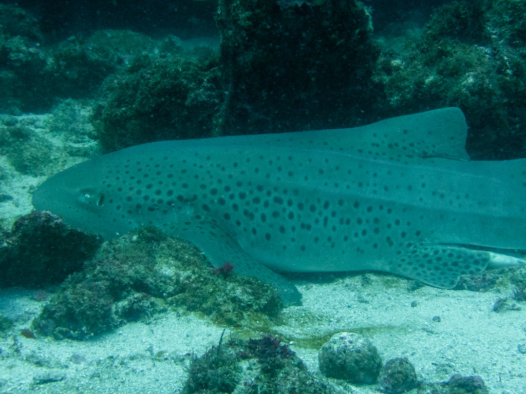 1e2540fe-8b89-407c-8d34-b9b0ceb38e6e