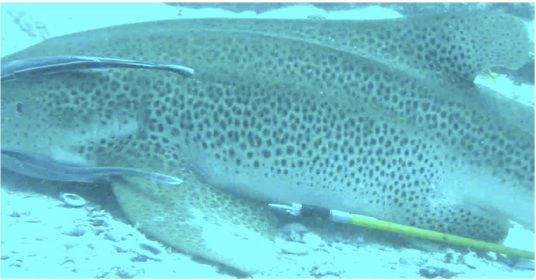 16d240cc-d8d9-48a4-b167-695fe65ce7e8