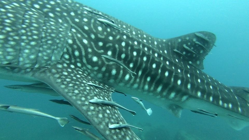 fe29426a-7c2a-4ff4-9e07-0939297e5ce3