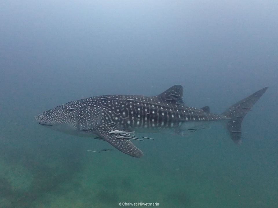 fe29426a-7c2a-4ff4-9e07-0939297e5ce3