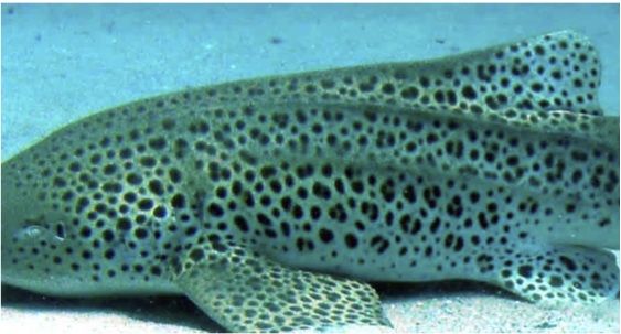 06e18980-f7f0-4b6d-9a3a-bd886e7a7ba6