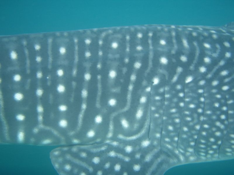 c1e1738d-16e0-46e2-917c-6111e3e498c1