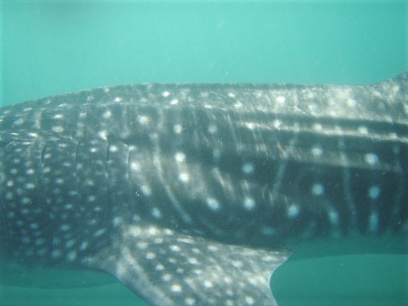 c1e1738d-16e0-46e2-917c-6111e3e498c1