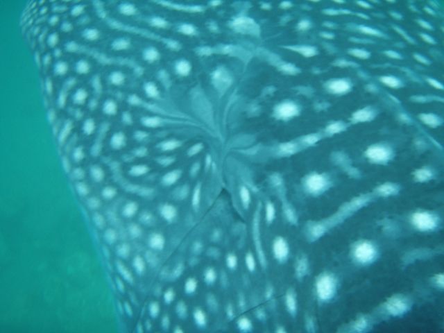 c1e1738d-16e0-46e2-917c-6111e3e498c1