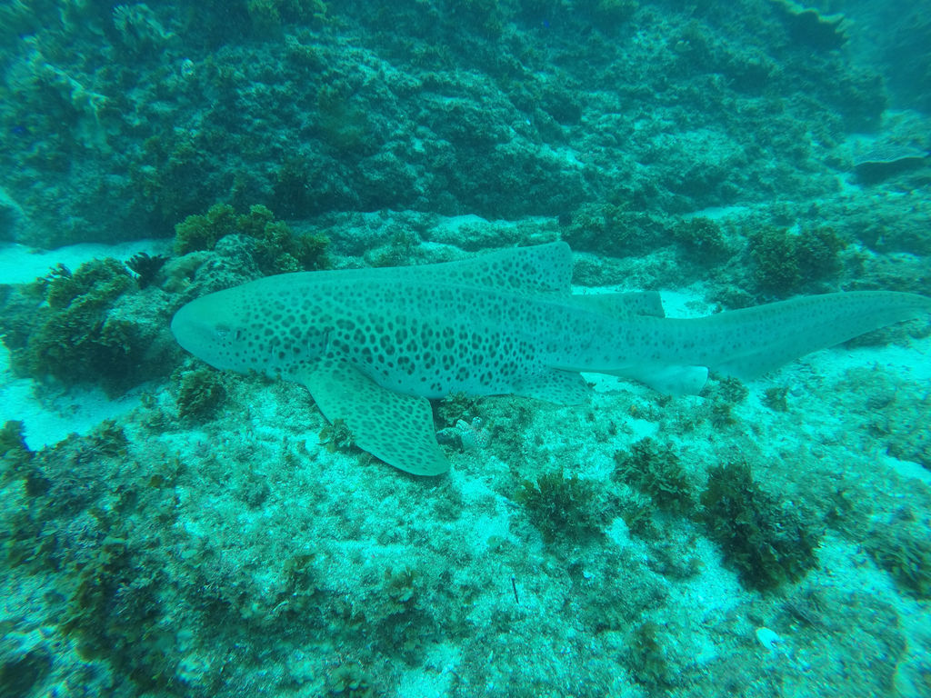 e1aef6cb-d23c-4f57-8cd7-3a56fa6e9dd8