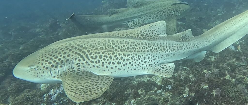 6a4cebb0-6324-47c3-b09a-82911c8f585c