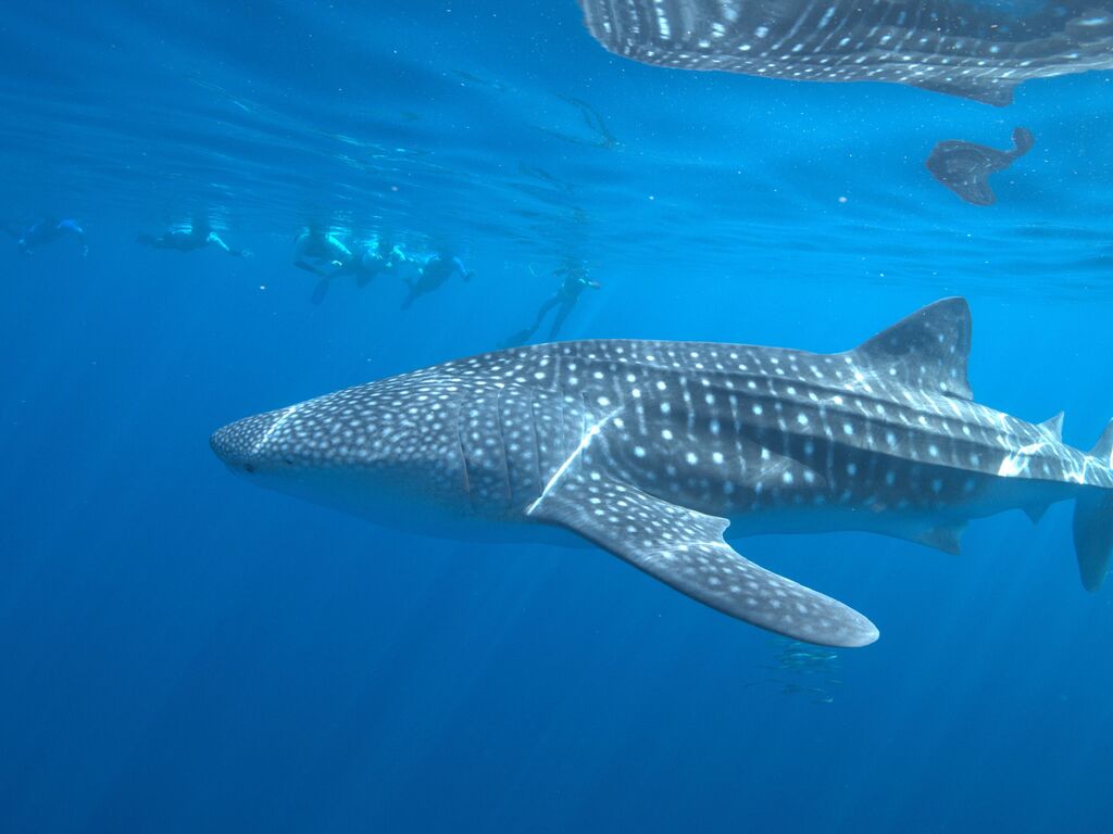 17f56244-42cb-4450-be7e-b427f4247676