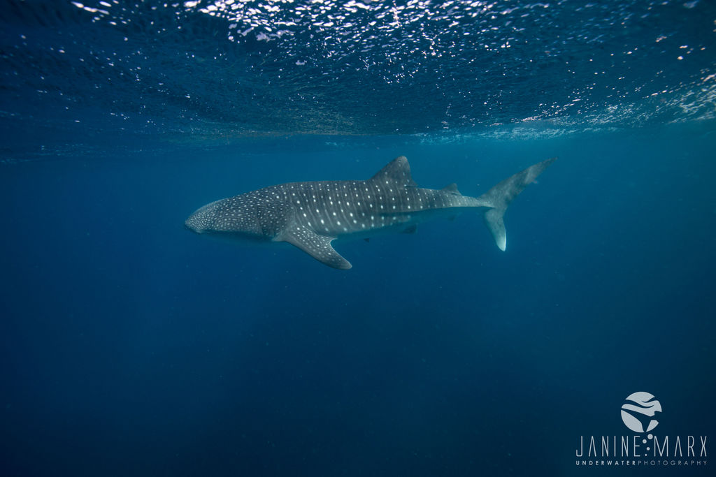 27dcaee4-82b5-4829-8f72-8f7751750a19