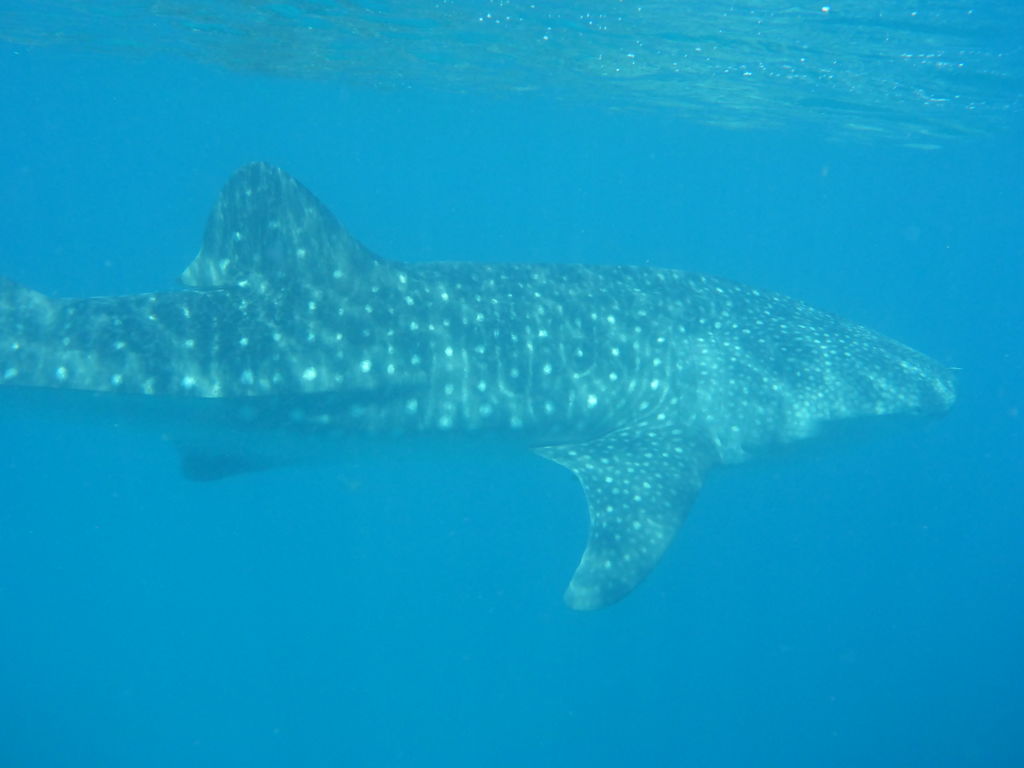 8852b74e-9f5f-4033-8eb5-cf2bff735c27