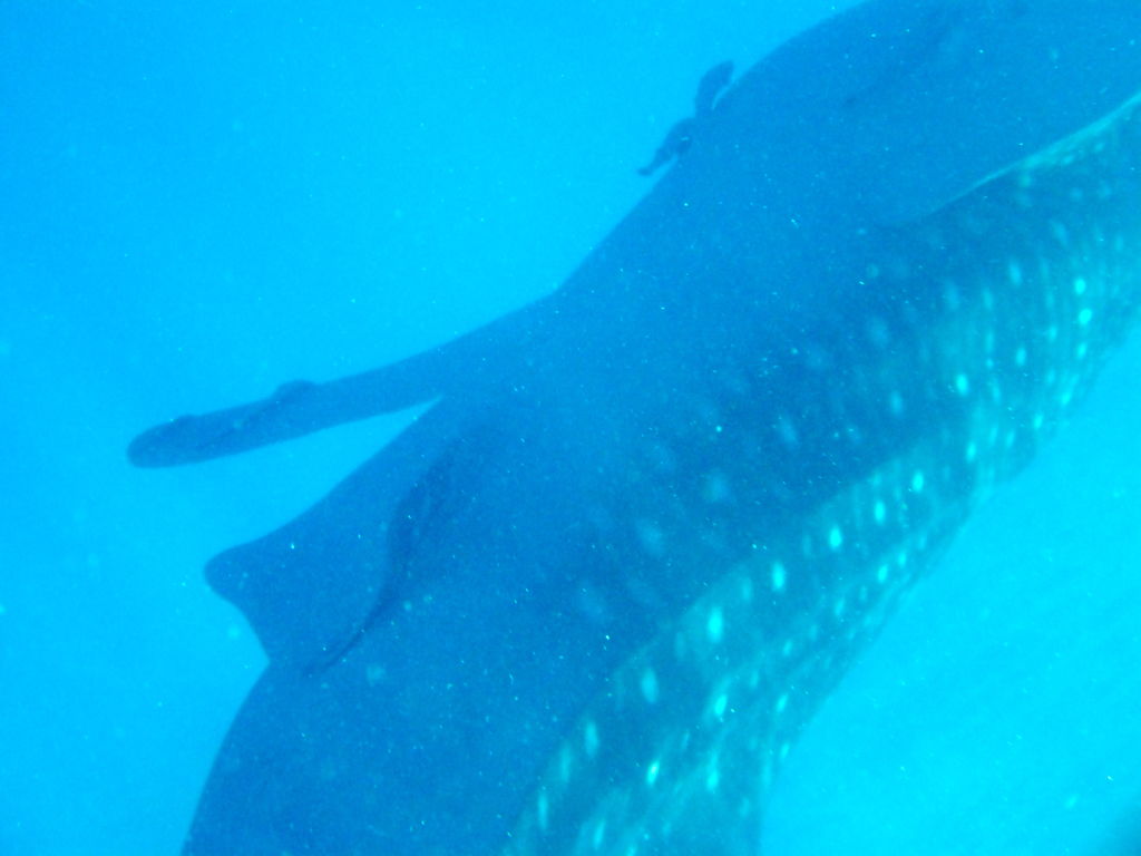 8852b74e-9f5f-4033-8eb5-cf2bff735c27