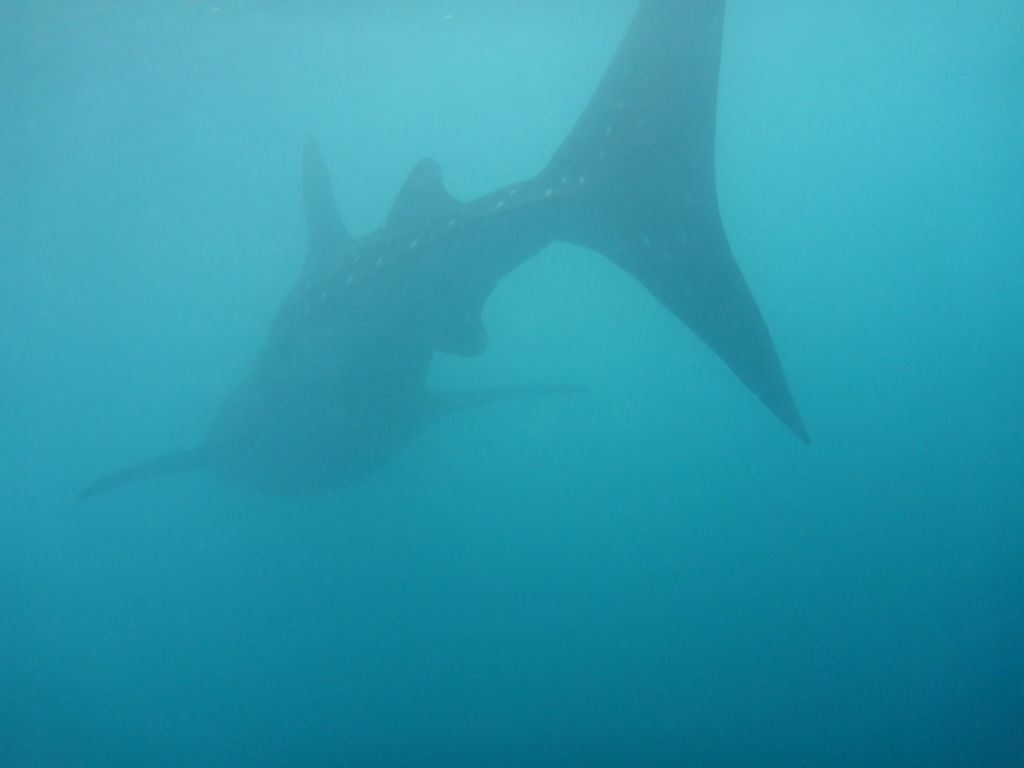 8852b74e-9f5f-4033-8eb5-cf2bff735c27