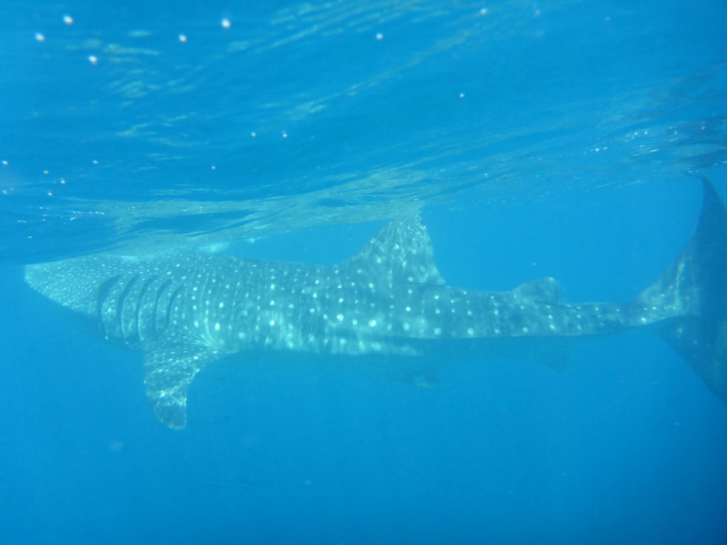 8852b74e-9f5f-4033-8eb5-cf2bff735c27