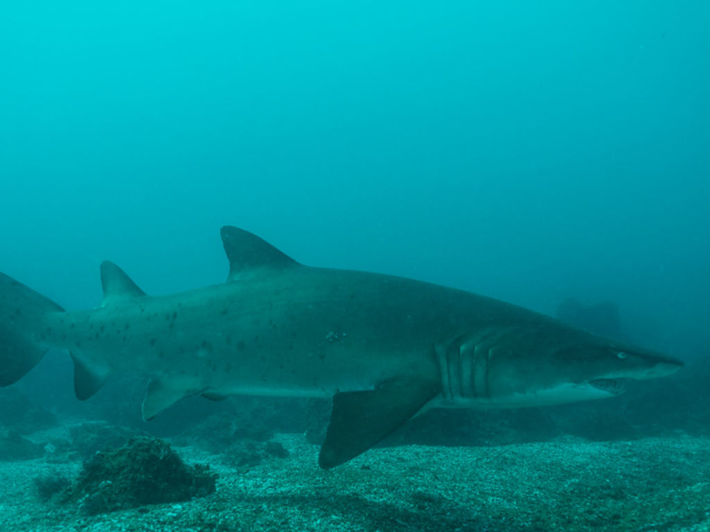 25f1c60e-41e8-459d-97d6-acc79fbe72cd