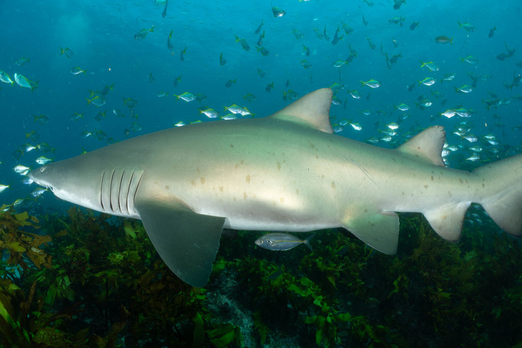 ba79c89e-34a1-49f6-88cf-ab31b73fef72