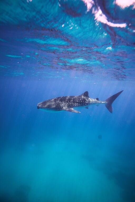 403330f1-8eaf-49b5-91fb-2b03d054066e