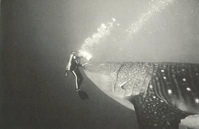 559d0ec0-3834-46db-b51a-c7da70e9cdf6