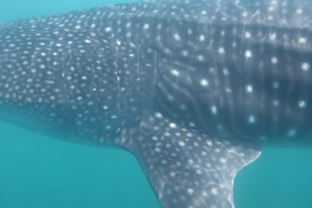 c2e8e3a5-25d9-4e9f-8b8e-7e56de03fbf2