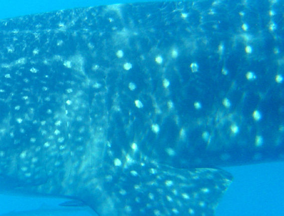 97204182-4a13-48e4-b4a5-46abd92ea233