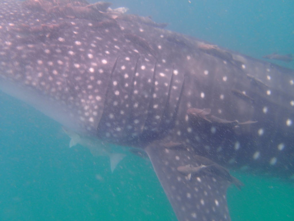 793070f2-6693-457e-8cf5-415b21cd90a3