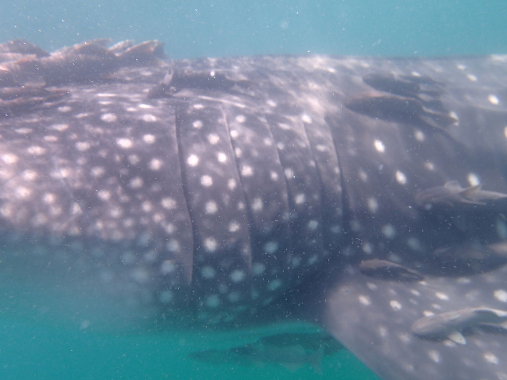 793070f2-6693-457e-8cf5-415b21cd90a3