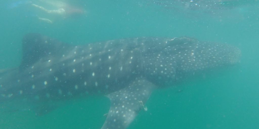 793070f2-6693-457e-8cf5-415b21cd90a3