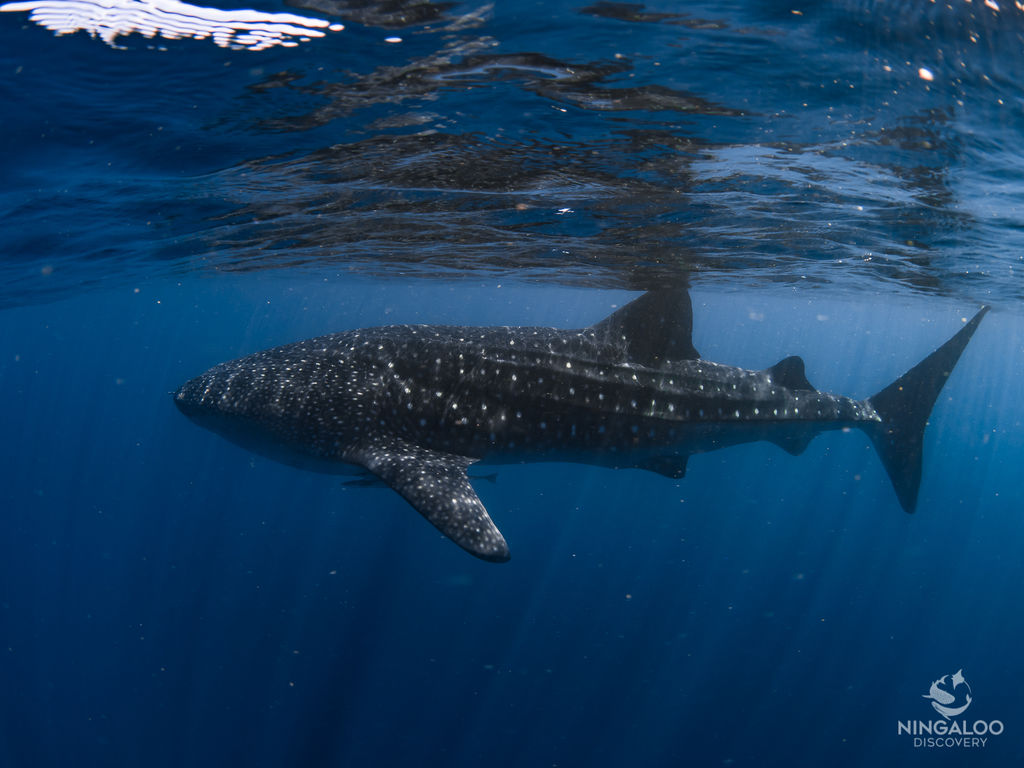 0c87c29d-d47f-4692-bb74-4764f772b4d7