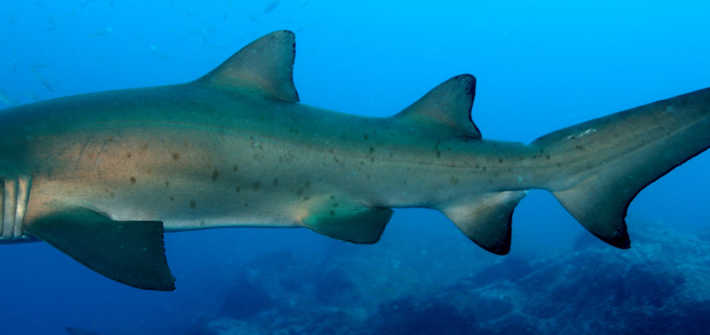 b0c25874-9b19-4ef7-a039-dd95e227fd4b