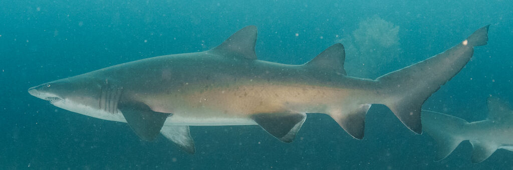 cb394136-9484-4a8d-80df-e87a6e73e6e9