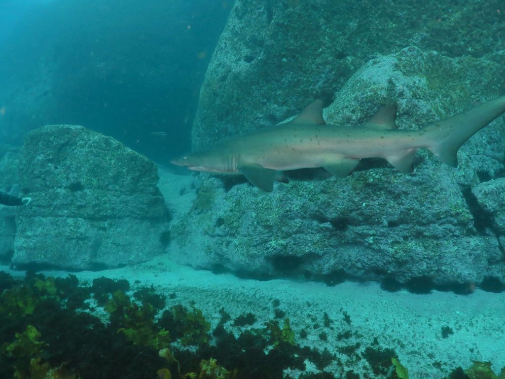 49ecbce9-078b-407c-ab5f-c408026d57a9