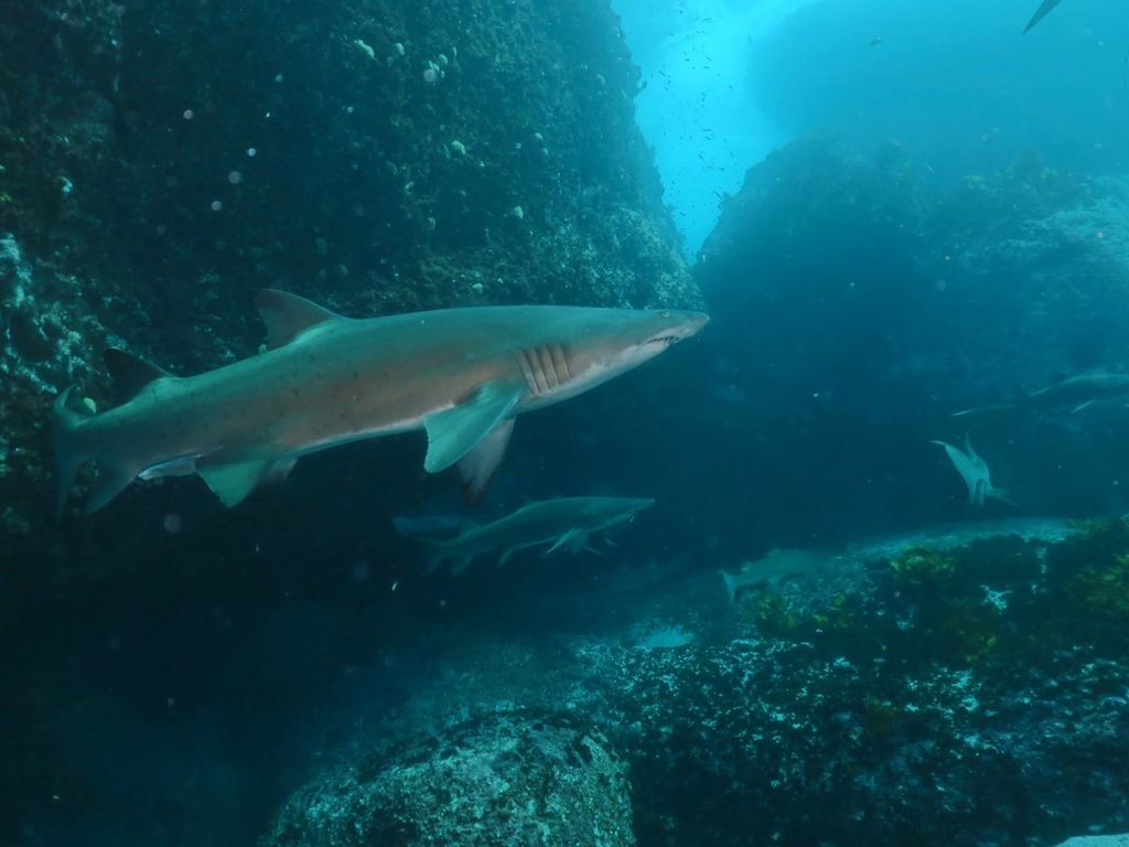 249fe033-7f87-4bfc-a450-d28b16823419