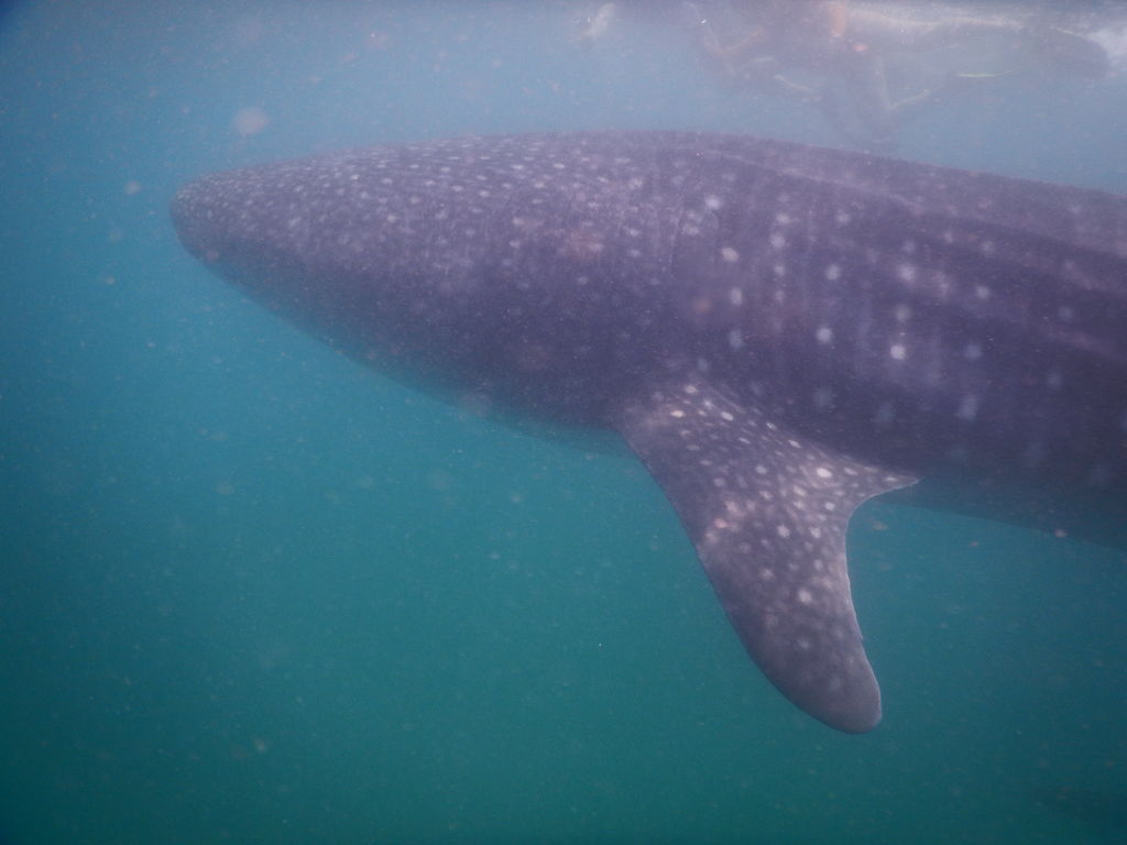 bb8018b6-02b1-43f5-8462-446efd215341