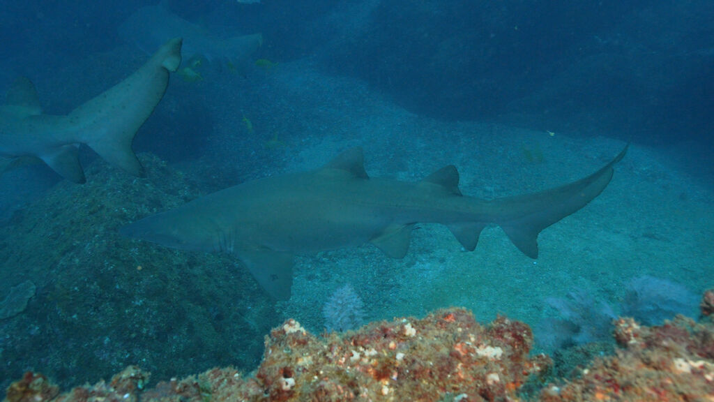 5df63dd8-f924-4ead-9b25-0cb2eca5f66e