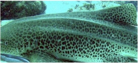 d12f794c-b008-425b-b337-8e413d6c4ad2