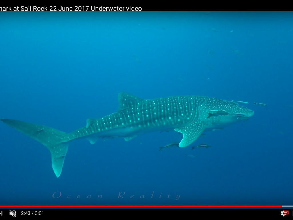 81f0a8ba-470c-478d-b900-6907f89a177b