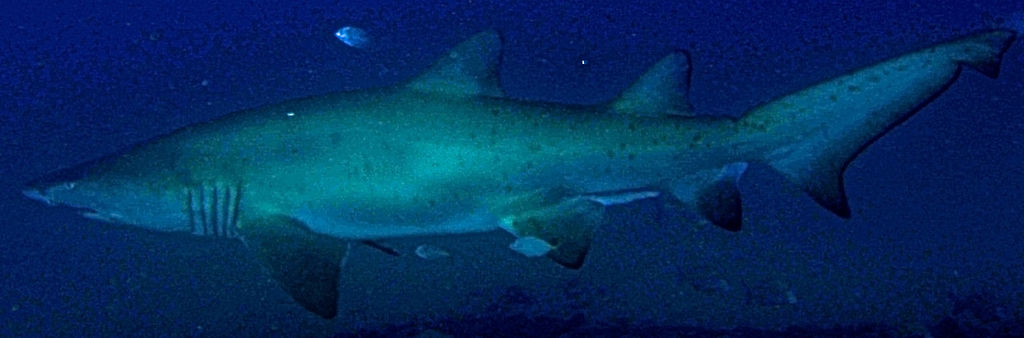 0a707976-f3d2-4bb5-bbf8-f8af0ad3e55a