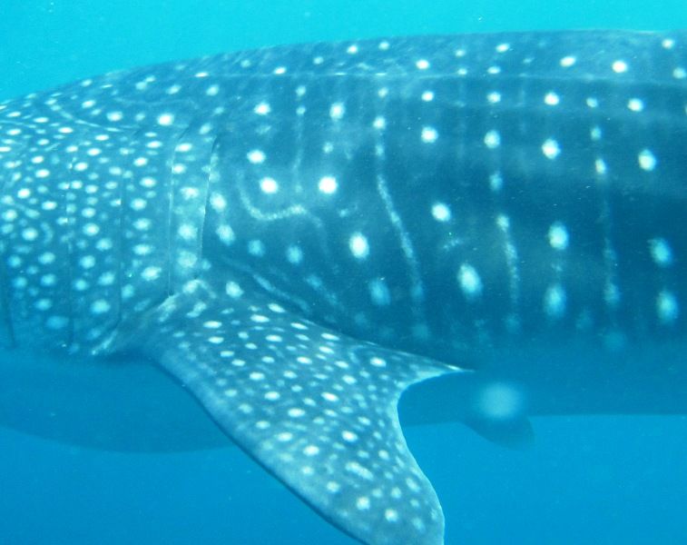 f19c9fce-7182-44cb-8db2-cb5695bb7ab7