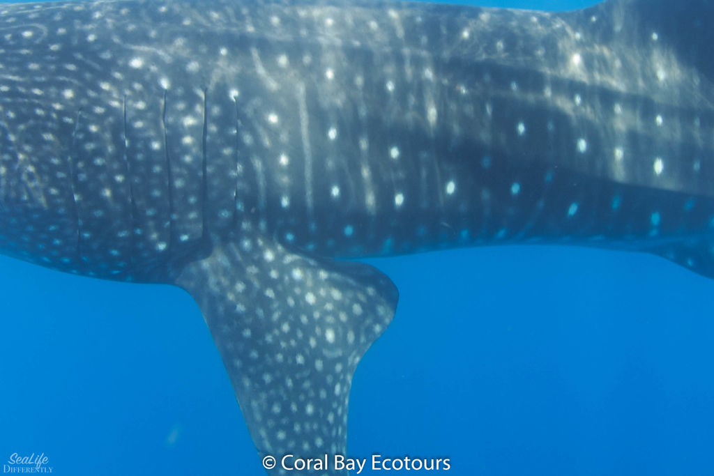 41068e27-2dc0-41a9-b283-5d92e9fea1ad