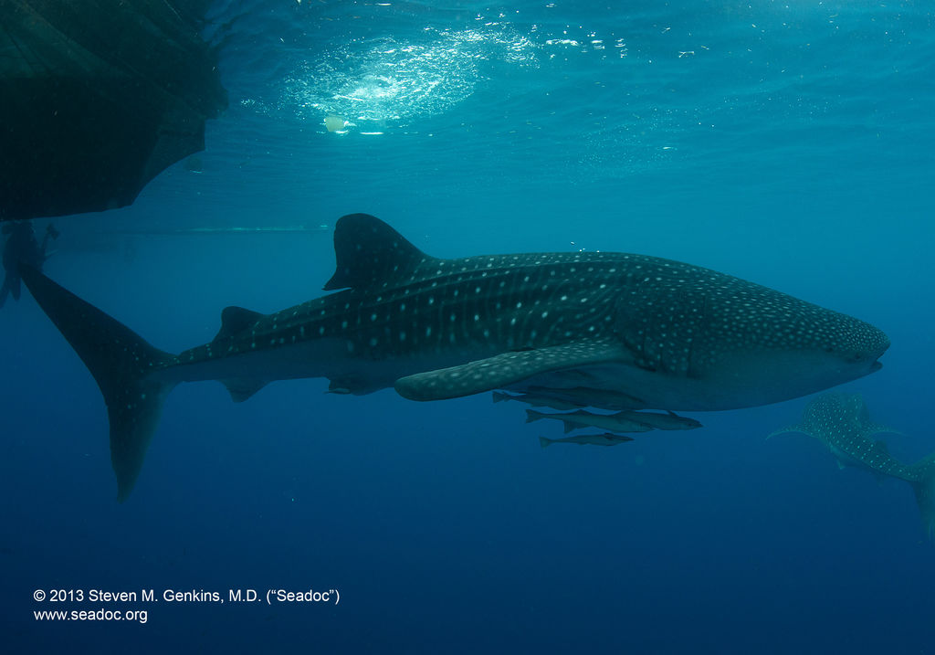 a6209864-a74a-4f70-aacc-72ffc9ec652d