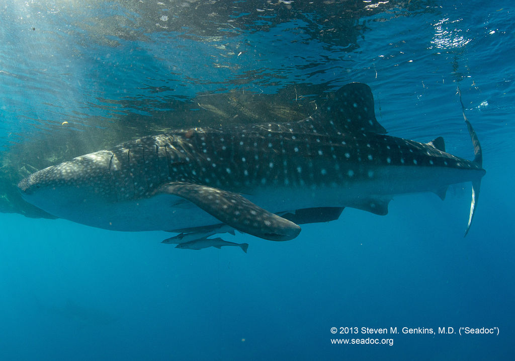 a6209864-a74a-4f70-aacc-72ffc9ec652d